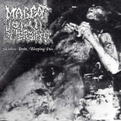Skinless Limbs, Weeping Pus / Dismembered into 12 Fragments