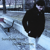 The Ballad Of Bliss Street by David Shenton