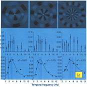 Intermittent Stimuli