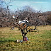 Цветные сны