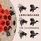 Magnificent by Lemongrass