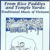 From Rice Paddies and Temple Yards