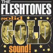 Hitsburg Usa by The Fleshtones