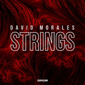 Strings