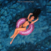 Look But Don't Touch