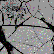 V.I.T.R.I.O.L. / Monotheistic Supremacy