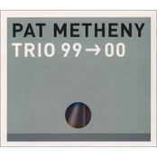 What Do You Want? by Pat Metheny Trio