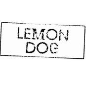 LD Live Wytwórnia 2011