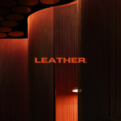 LEATHER.