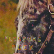 The Spirit of The Beehive: pleasure suck