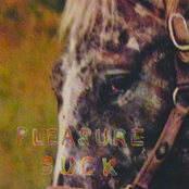 The Spirit of The Beehive: Pleasure Suck