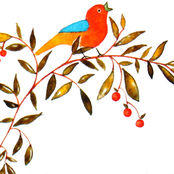 Improvisos e coisa e tal