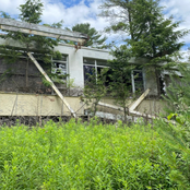 flyingfish: isolation