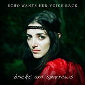 Bricks and Sparrows - Single