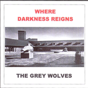 Where Darkness Reigns