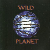 All In Your Mind by Wild Planet