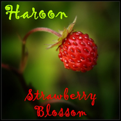 Strawberry Blossom - CDSingle