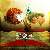 Blood Vessels & Marshmallows