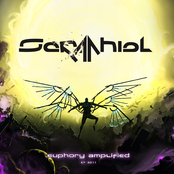 Euphory Amplified by Seraphiel