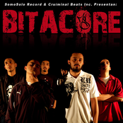 Bitacore