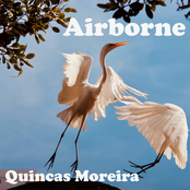 Airborne (Pop and Dance Tracks)