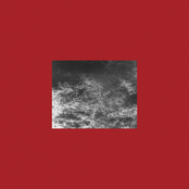 This Is The Water And This Is The Well