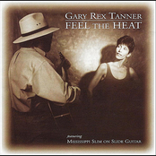 Feel The Heat by Gary Rex Tanner