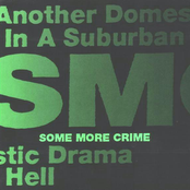 Another Domestic Drama in a Suburban Hell