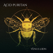 Acid Puritan