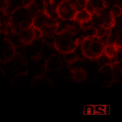 Blood