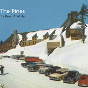 The Pines: It's Been A While