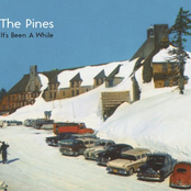 A Hundred Doors by The Pines