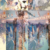 Split 7" Jeans Wilder/ Best Coast