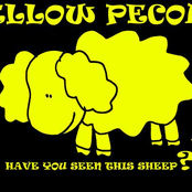 yellow pecora