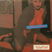 The Seductive Sounds Of Teknot