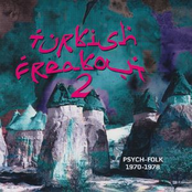 Turkish Freakout 2: Psych Folk 1970-1978