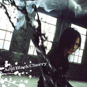 冬の幻 by Acid Black Cherry