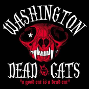Viva Las Vegas by Washington Dead Cats