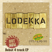 ZESTEP016 FREE SAMPLER