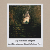 Last Year's Leaves - Tape Reflections Vol: 1