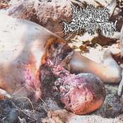 NO HOPE FOR HUMANITY - AN UNACCEPTABLE GORENOISE COLLECTION