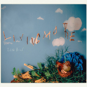 Livingmore: Little Bird - Single