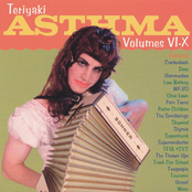 Teriyaki Asthma Volumes VI-X