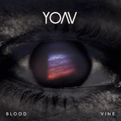 Sign Of Life by Yoav