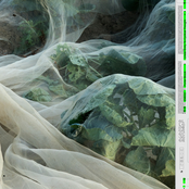 Linear Entry to Cyclical Thought