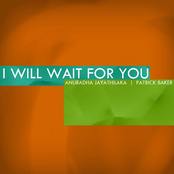 I Will Wait for You