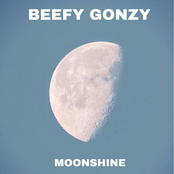 Moonshine