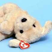 STR8SHOOTA /// GAZING EYE