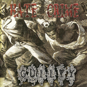 Liars by Hate Crime