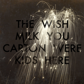 The Milk Carton Kids: Wish You Were Here
